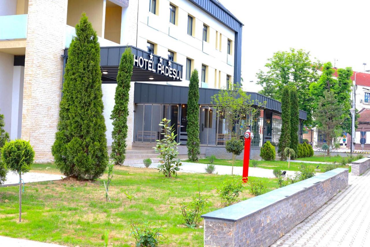 Hotel Padesul Faget  Экстерьер фото