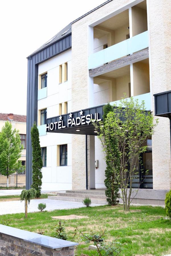 Hotel Padesul Faget  Экстерьер фото